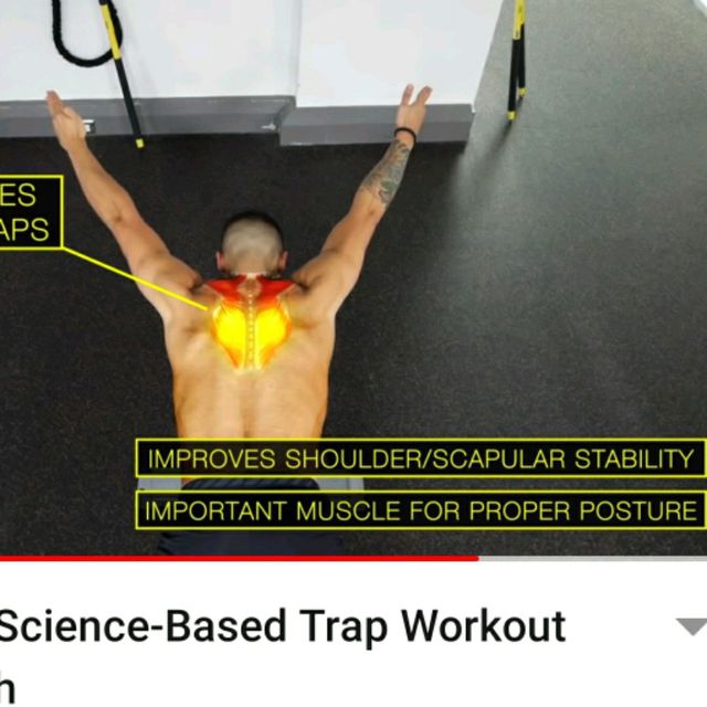 LOWER TRAPS Exercise Howto Workout Trainer by Skimble