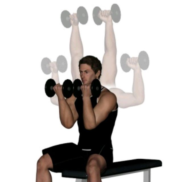 Arnold Press by Matthew C. Exercise Howto Skimble