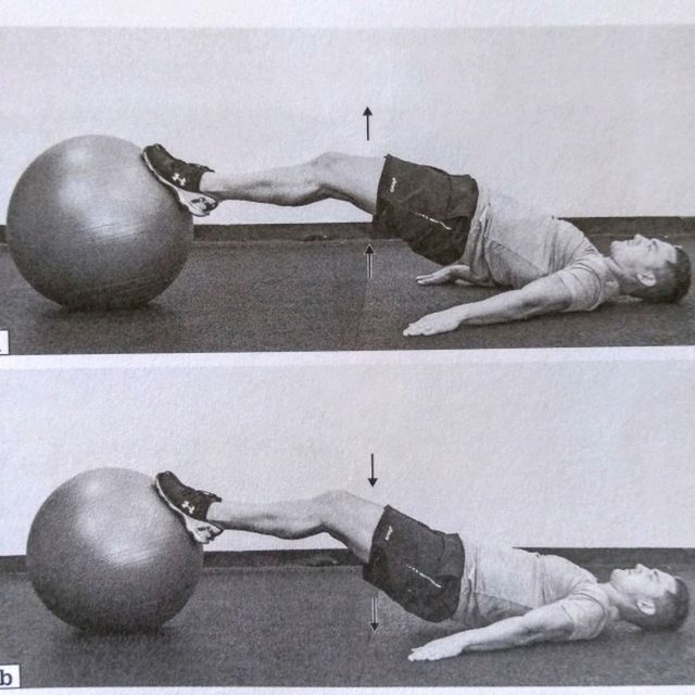 Stability Ball Long Bridge by Patrick9 Morrisey Exercise Howto Skimble