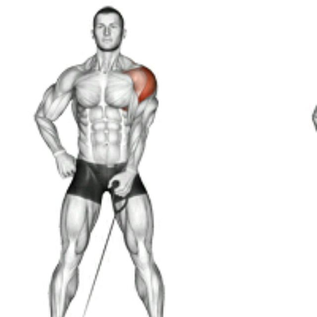 Right Arm Behindtheback Cable Lateral Raise Exercise Howto