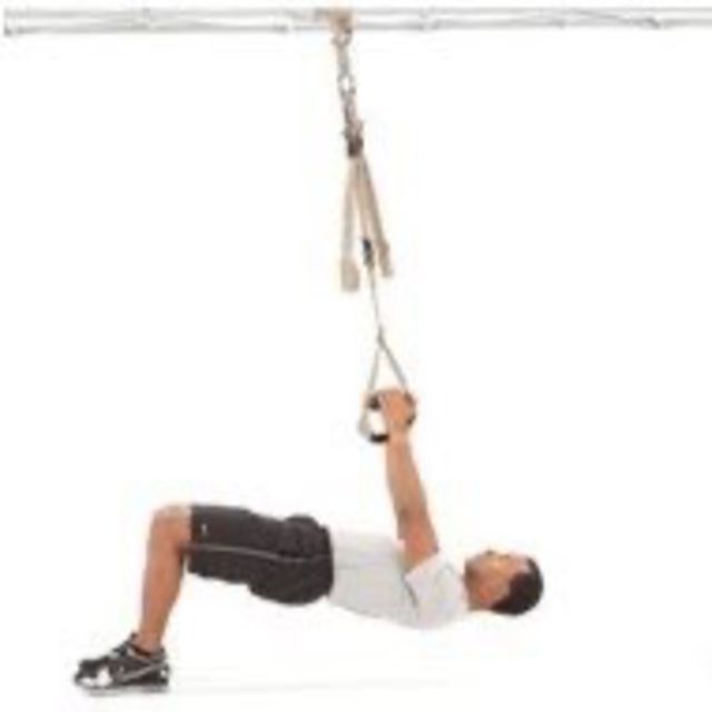 Remo Invertido TRX by María Soto Ejercicio Cómo hacerlo Skimble