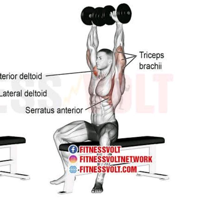 Arnold Press by Fawwaz Sathaar Exercise Howto Skimble