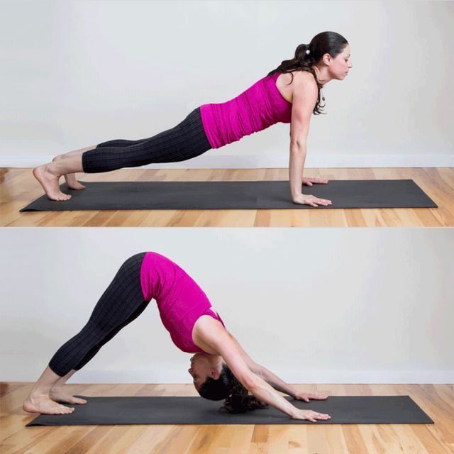 Plank To Downward Dog by Brian Fallon Exercise Howto Skimble