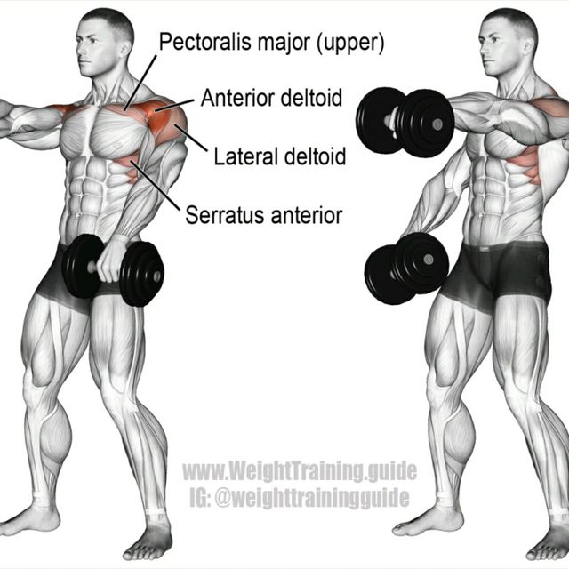 Alternating Dumbbell Front Raise by Martel Berry Exercise Howto