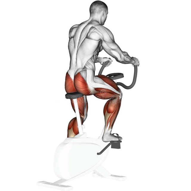 Upright Bike by John M. Exercise Howto Skimble