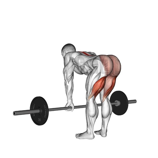 Barbell Straight Leg Deadlift Exercise Howto Workout Trainer by