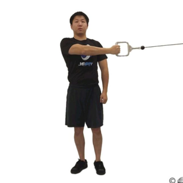 One Arm Reverse Fly Cables/Resistance band Exercise Howto
