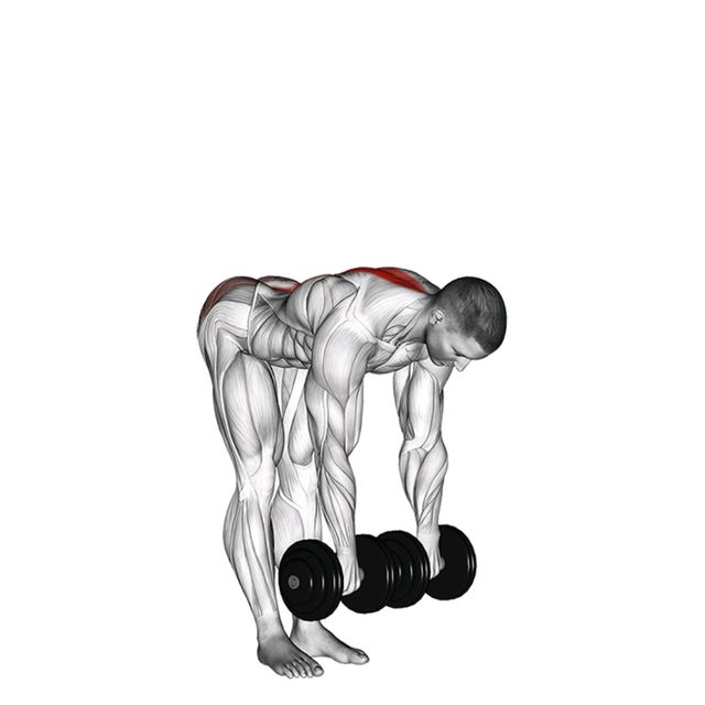 Dumbbell Straight Leg Deadlift Exercise Howto Workout Trainer by