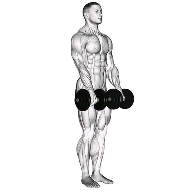 Dumbbell Straight Leg Deadlift by John M. Exercise Howto Skimble