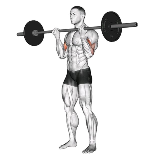 Barbell Curl by John M. Exercise Howto Skimble