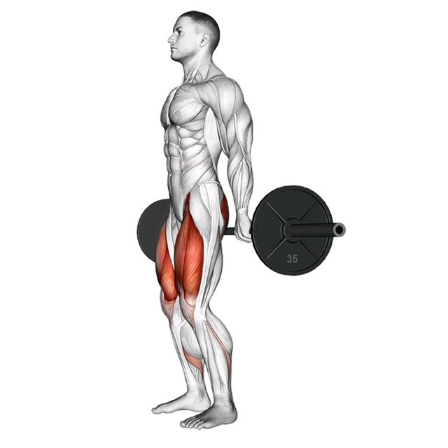 Barbell Standard Hack Squat by John M. Exercise Howto Skimble