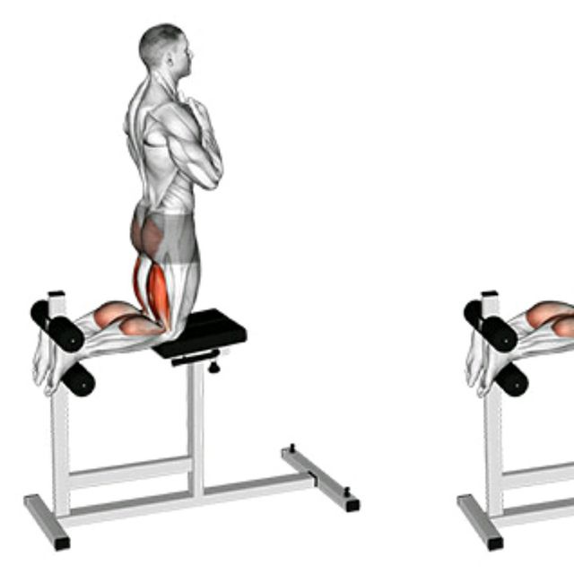 Glute Ham Raises Exercise Howto Workout Trainer by Skimble
