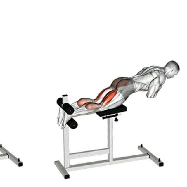 Glute Ham Raises Exercise Howto Workout Trainer by Skimble