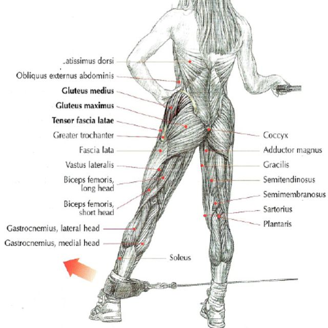 Cable Hip Abduction Right by Uncle Heiko S Exercise Howto Skimble
