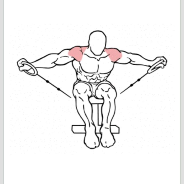 Seated Cable Lateral Raise by Titanshores _ Exercise Howto Skimble