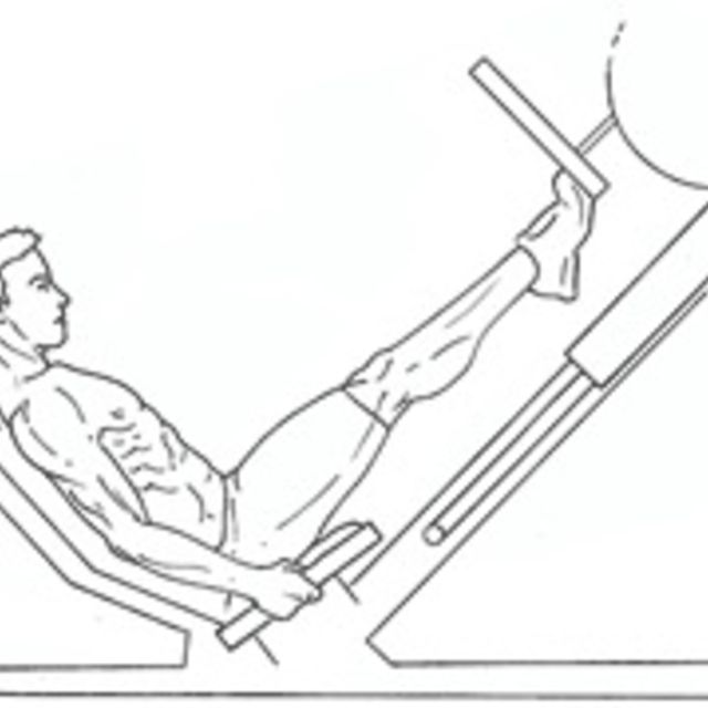 Calf Raises On Leg Press Exercise Howto Workout Trainer by Skimble