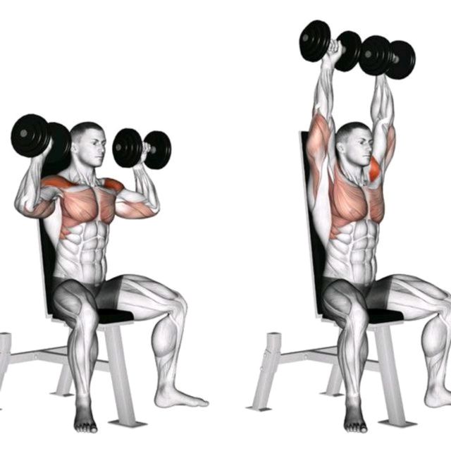 Seated Dumbbell Presses by Richard Terry Jr Exercise Howto Skimble