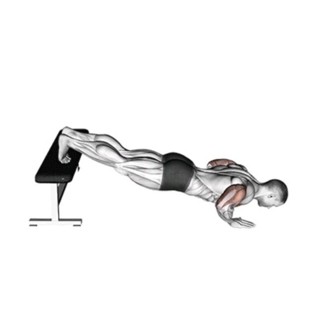 Decline Push Ups by Albert Tiger Exercise Howto Skimble