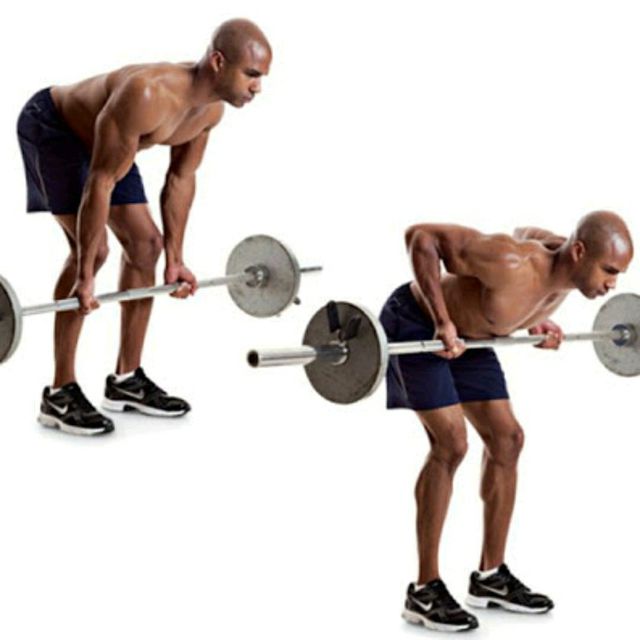 Underhand Grip Barbell Row by Martel Berry Exercise Howto Skimble