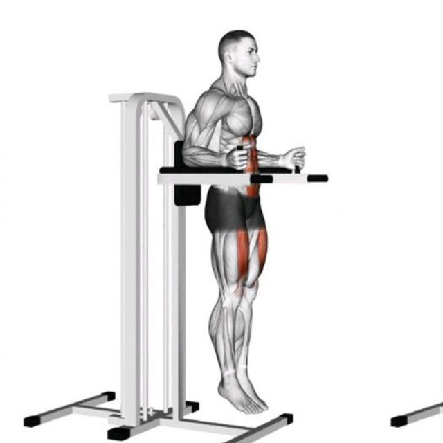 Vertical Leg Raise Exercise Howto Workout Trainer by Skimble