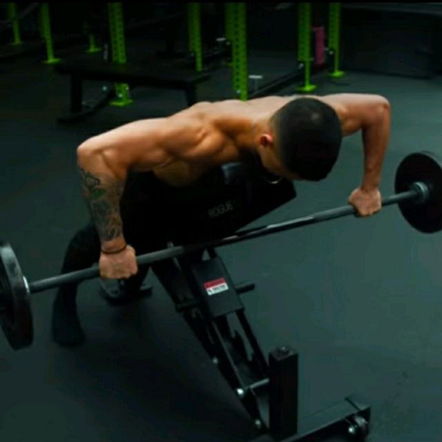 Chest Supported Rear Delt Row by Martel Berry Exercise Howto Skimble