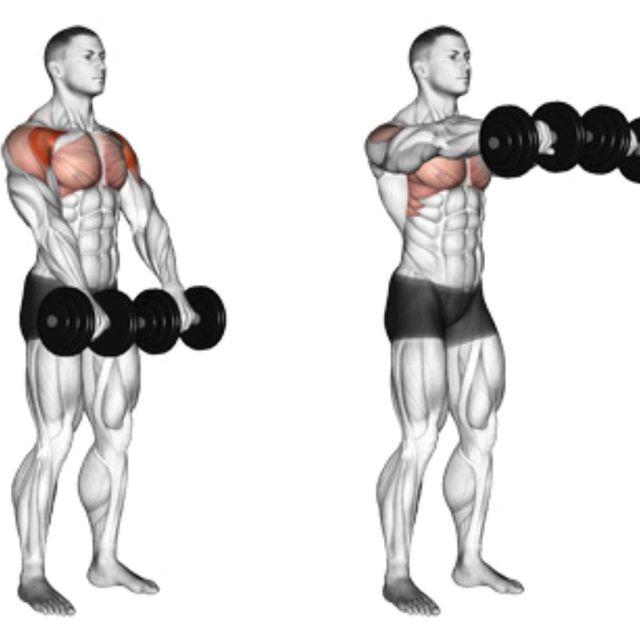 Dumbbell Front Raise by Richard Terry Jr Exercise Howto Skimble