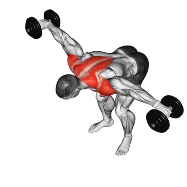 Reverse Dumbbell Fly by Richard Terry Jr Exercise Howto Skimble