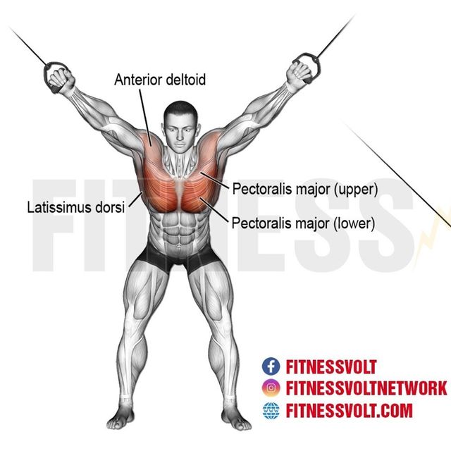 High to low cable crossovers by Alejandro D. Ejercicio Cómo hacerlo Skimble