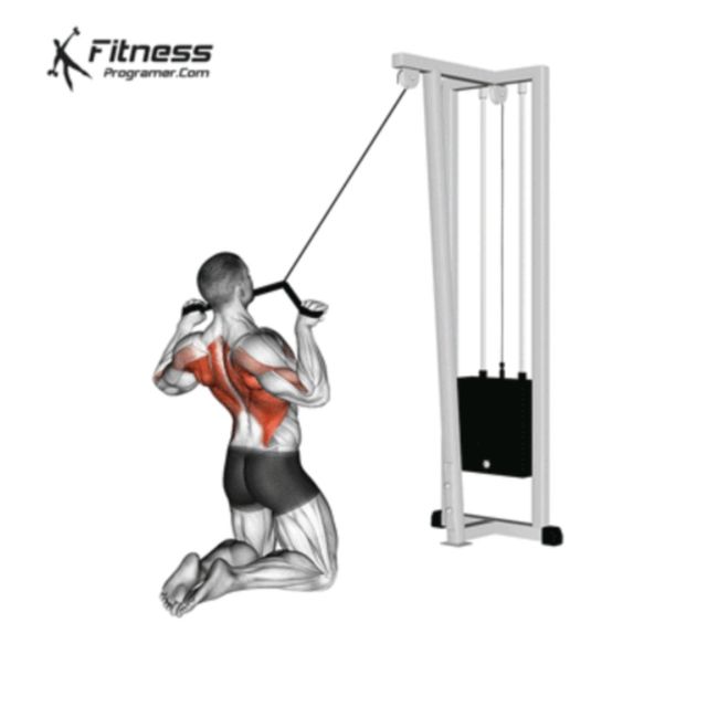 Kneeling High Pulley Row by Jdan Bit Exercise Howto Skimble