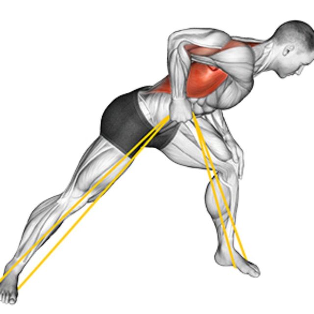 Resistance Band Single Arm Row by Richard Terry Jr Exercise Howto