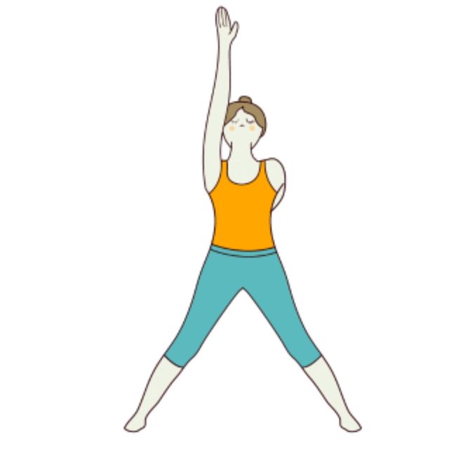 Elephant Pose Variation Right by 𝔻𝕖𝕤𝕖𝕣𝕥 𝔽𝕠𝕩🦊 🌟 Exercise Howto Skimble