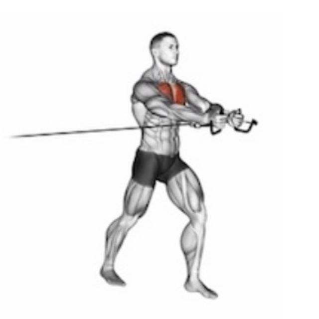 Cable Fly by Sérgio F. Exercise Howto Skimble