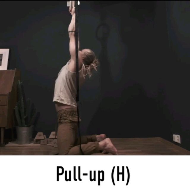 Rings Pull Up by Alex 🌊. Exercise Howto Skimble