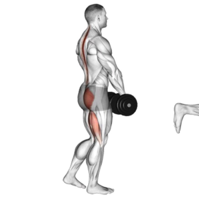 Single Leg RDL by Richard Terry Jr Exercise Howto Skimble