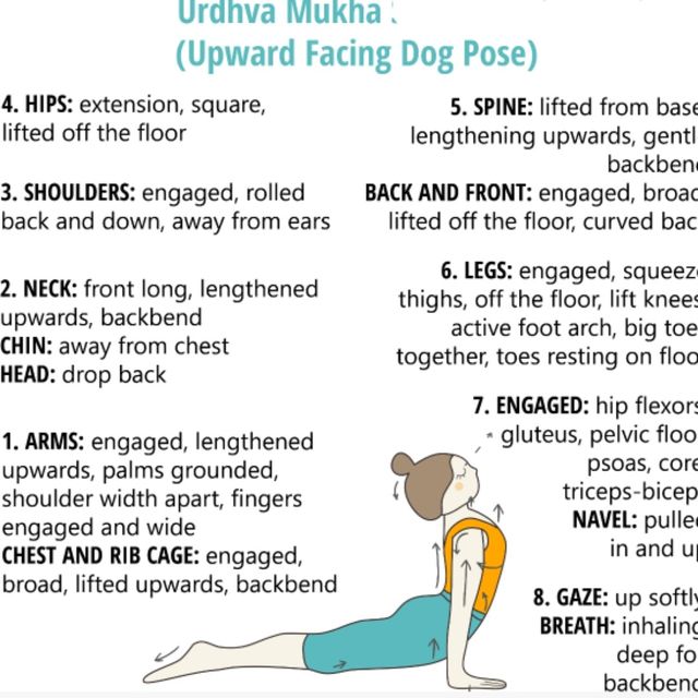 2 Dogs ( Upward & Downward Facing) by 𝔻𝕖𝕤𝕖𝕣𝕥 𝔽𝕠𝕩🦊 🌟 Exercise Howto