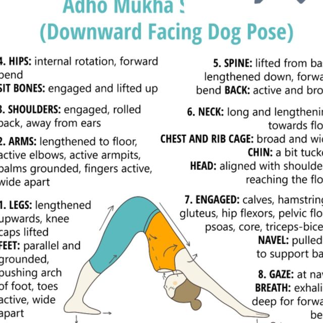 2 Dogs ( Upward & Downward Facing) by 𝔻𝕖𝕤𝕖𝕣𝕥 𝔽𝕠𝕩🦊 🌟 Exercise Howto