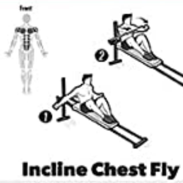Incline Chest Fly by Martin Gilbert Comment faire de l'exercice Skimble