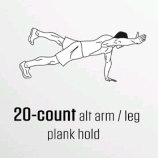 Alt Arm/Leg Plank Holds (Count) by Cody R. Exercise Howto Skimble