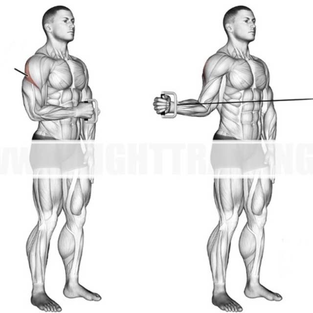 Cable Rotator Cuff Low (Right Side) by Elliott Konieczka Exercise How