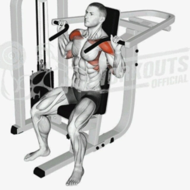 Machine Shoulder Press by David Exercise Howto Skimble