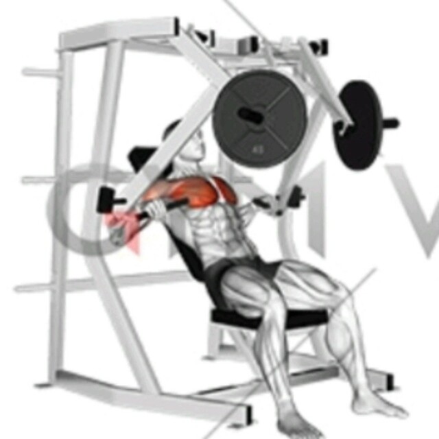 Leverage Decline Chest Press by David Exercise Howto Skimble