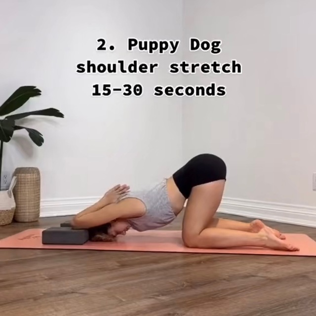 Puppy Dog Shoulder Stretch by With Love, Foxy Exercise Howto Skimble