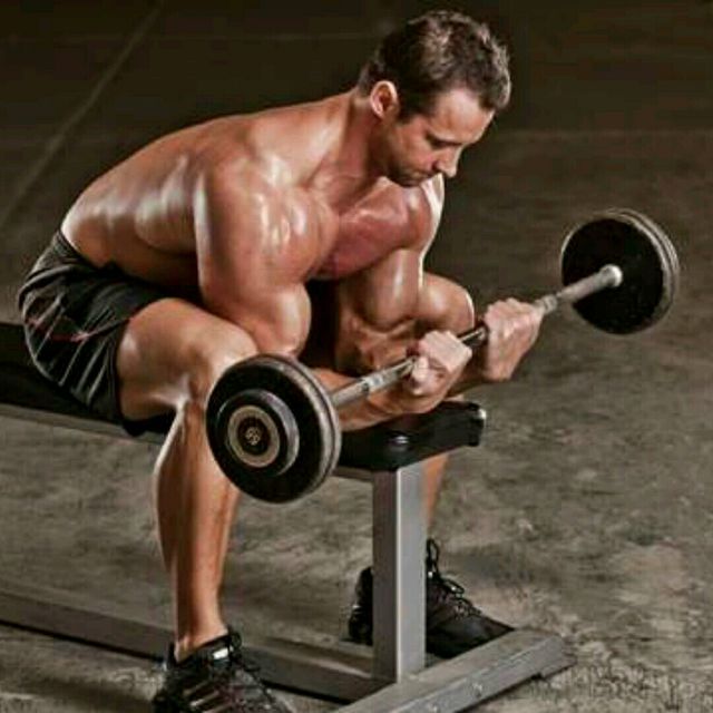 Seated Palmup Barbell Wrist Curl Exercise Howto Workout Trainer