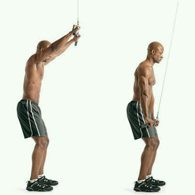 Straight Arm Cable Pull downs by Sonia R. Exercise Howto Skimble