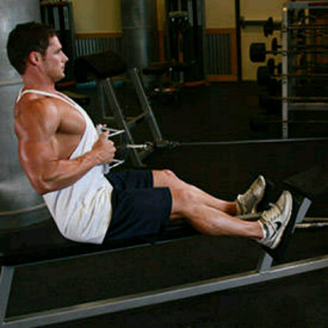 Seated Cable Rows Exercise Howto Workout Trainer by Skimble