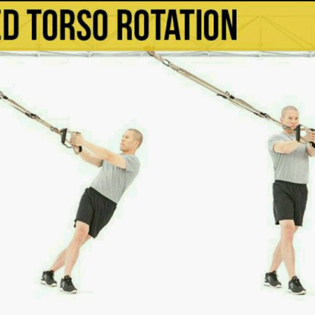 Resisted Torso Rotation by Chan Y. Exercise Howto Skimble