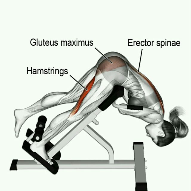 One Leg Hyperextension Exercise Howto Workout Trainer by Skimble