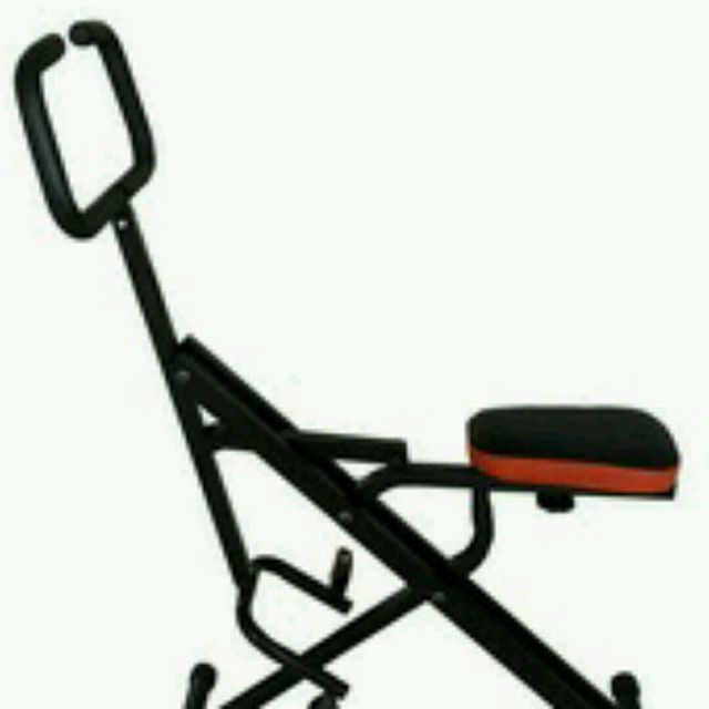 Riding Horse Machine by Zero C. Exercise Howto Skimble