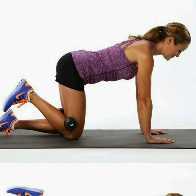 ankle weights for donkey kicks > OFF50