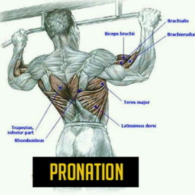 Tractions Pronation Exercise Howto Workout Trainer by Skimble